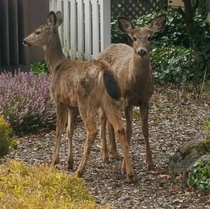 Meet your Posher, Marla